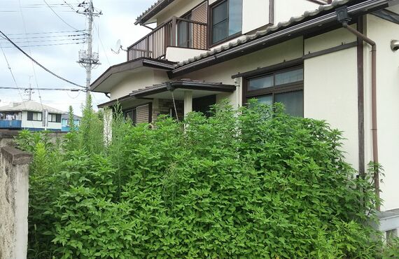 住むことのない空き家をそのままにしていませんか｜株式会社トラスト・マン